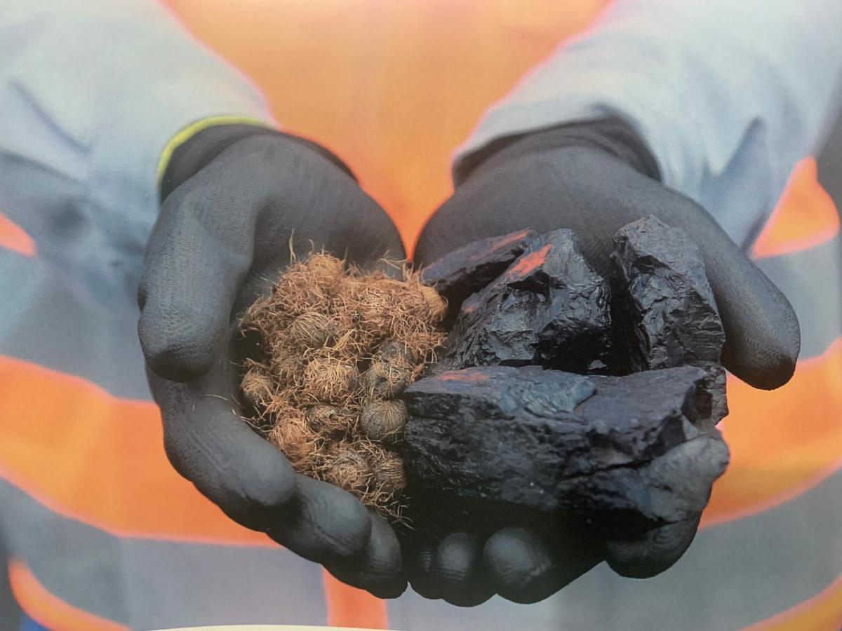 Hydro troca combustível fóssil por gás natural e testa caroço de açaí para repor&nbsp;carvão