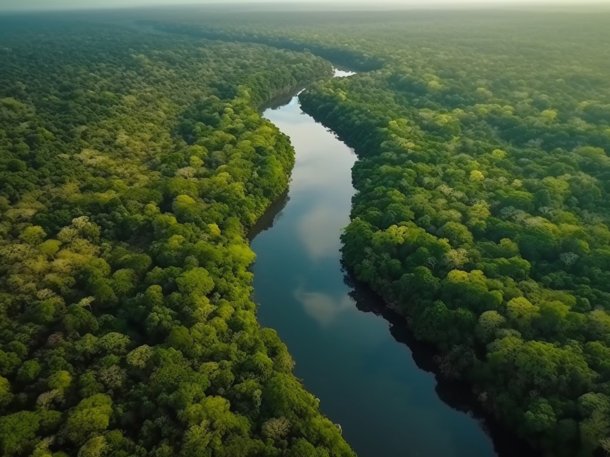 BID lança primeiro Título Amazônia de&nbsp;referência
